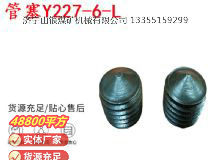 點擊查看詳細信息<br>標題：英格索蘭隔膜泵配件管塞Y227-6-L 閱讀次數(shù)：286