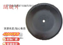 點(diǎn)擊查看詳細(xì)信息<br>標(biāo)題：氣動(dòng)隔膜泵配件-隔膜片 閱讀次數(shù)：227